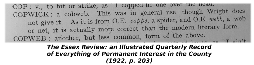 Cutting from Dialect Glossary